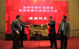 滨州市铝行业协会铝用炭素分会成立