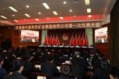 中国有色集团第一次团员代表大会在京召开