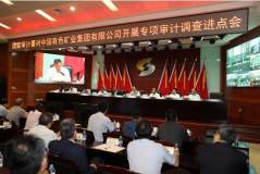 国家审计署对中国有色集团开展专项审计调查