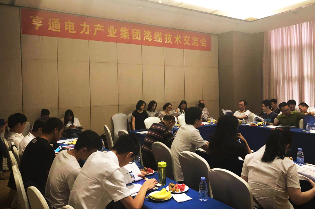 亨通电力产业集团海缆技术交流顺利举行