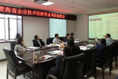 西部矿业两项青海省企业技术创新资金项目通过验收