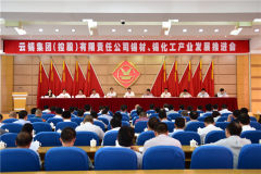 雲南錫業集團控股公司召開錫材錫化工產業發展推進會