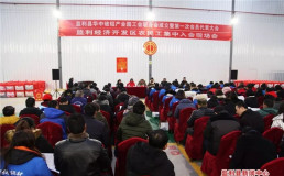 華中玻鋁產業園工會聯合會成立