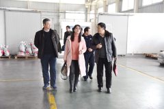 吳君一行到錫材郴州高新材料分公司檢查指導工作