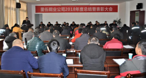 里伍铜业公司召开2018年度总结表彰大会