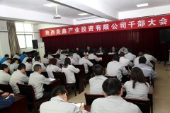 陕有色集团召开陕西美鑫公司干部大会