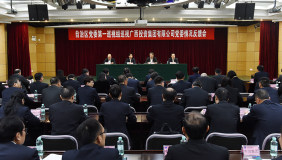 自治区党委第一巡视组向广西投资集团党委反馈巡视情况