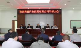 陝西有色在陝西美鑫公司開展“強黨建、嚴紀律、促發展”專項整治