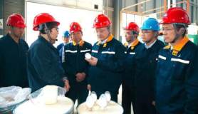 中铝葛红林会见东洋电机、铃洋科贸客人