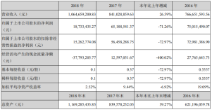 和胜股份：2018年总销售额106,465.92万元 净利润1,873.34万元