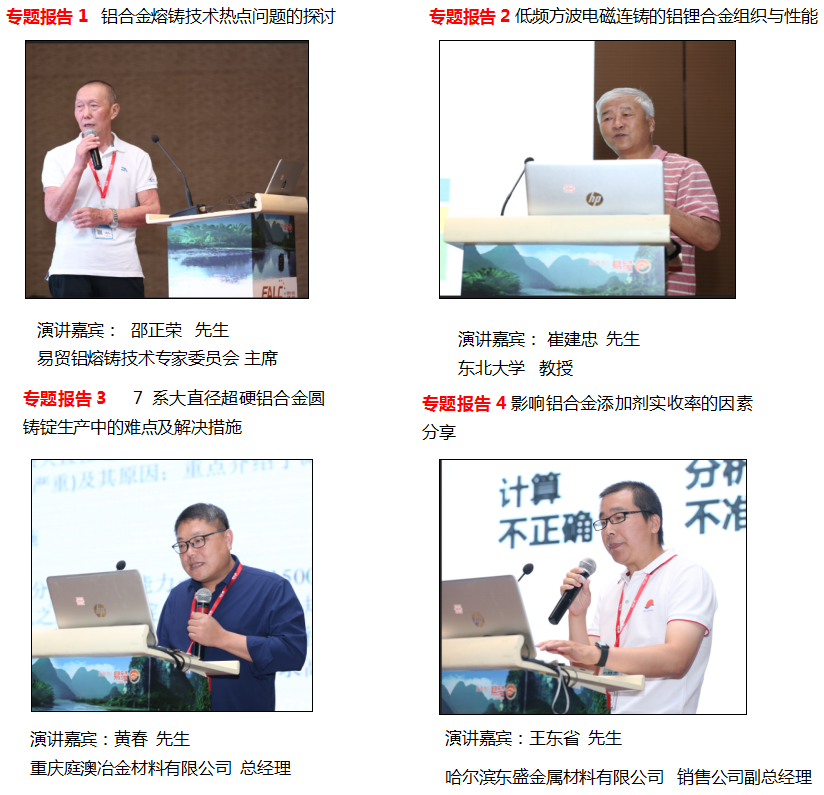 易贸·2019（第六届）中国国际铝加工熔铸技术论坛