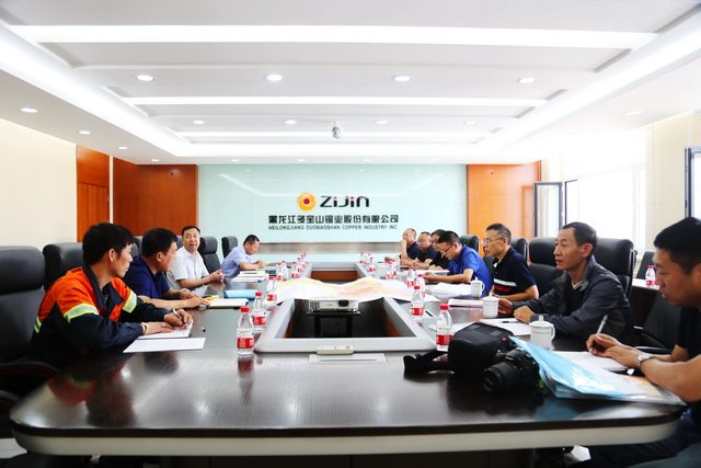 省自然资源厅专家组深入多宝山铜业调研指导-640.JPG