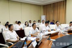 云铜股份2019年“两带两创”推进会召开