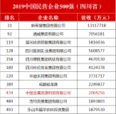 中金資源實力上榜“2019年中國民營企業500強”