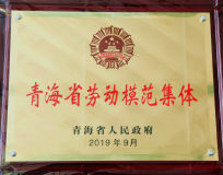 中铝青海分公司喜获青海省劳动模范集体荣誉称号