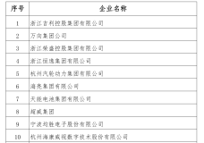 海亮集团入选浙江省首批“雄鹰行动”培育企业