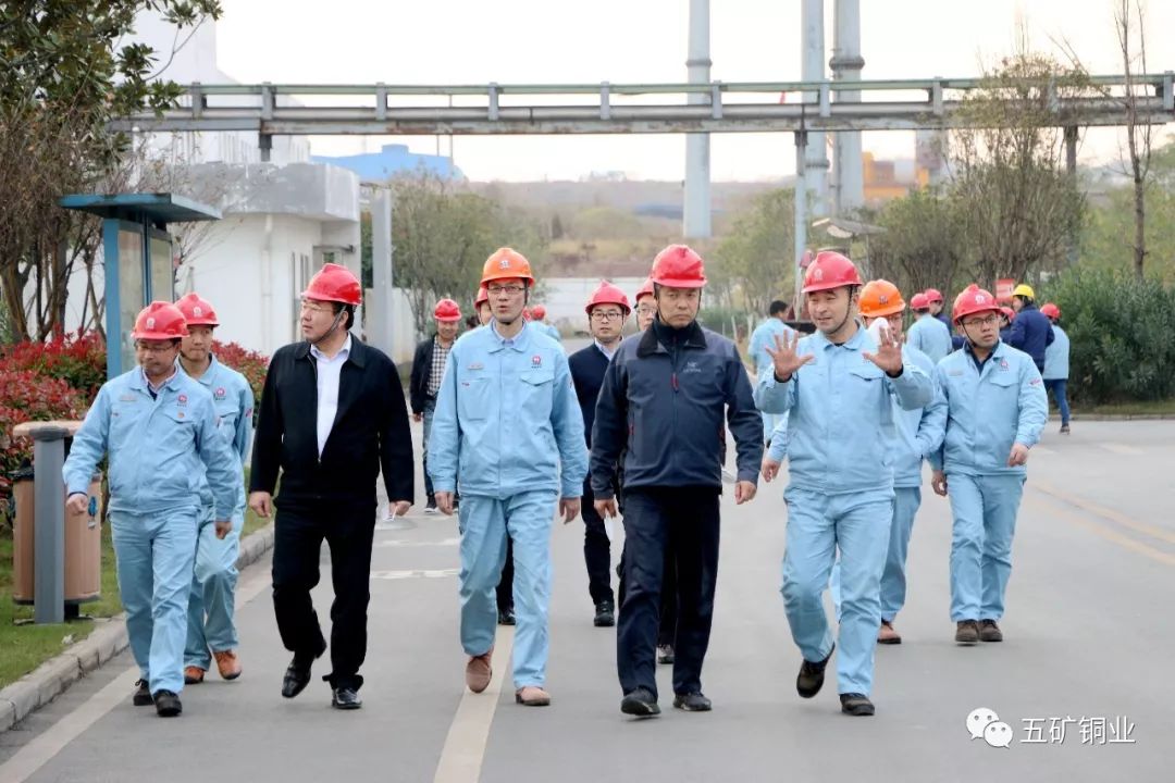 五礦集團副總經理任珠峯一行調研五礦銅業