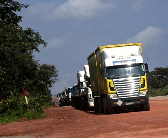 中国有色集团首批“迪兹瓦铜”启运回国