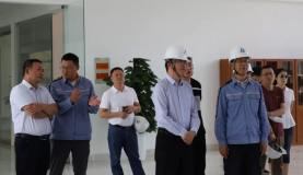 雲南省工業和信息化廳副廳長浦麗合到雲南文山鋁業調研