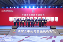 云南铜业荣获“2020年中国百强高成长企业奖”