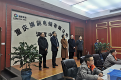 重慶市經信委楊麗瓊副主任及綦江區領導一行到旗能電鋁走訪調研