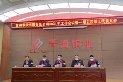 青海铜业召开 2021年工作会议暨一届五次职工代表大会