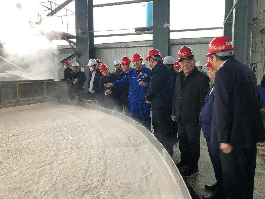 河南省铝基新材料重点企业负责人莅临义翔铝业考察指导