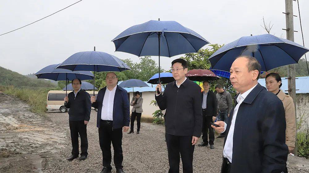 河池市委書記何辛幸到華錫集團五吉礦山調研督查環保工作