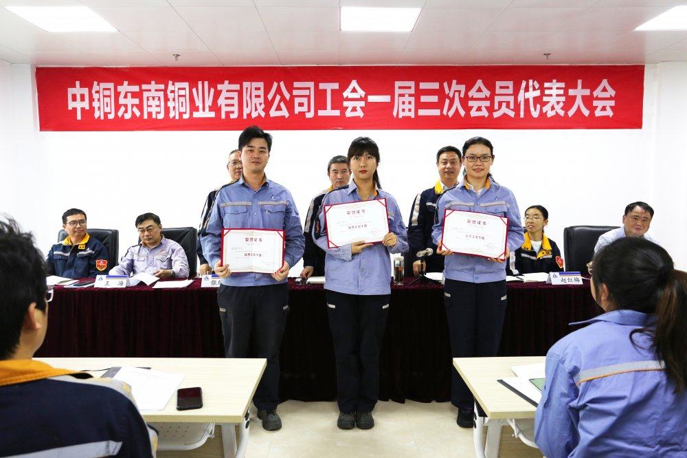 东南铜业工会召开一届三次会员代表大会
