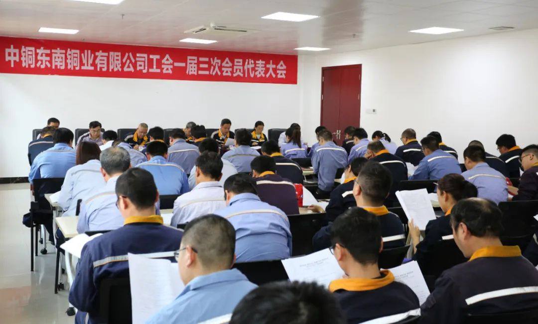 东南铜业工会召开一届三次会员代表大会