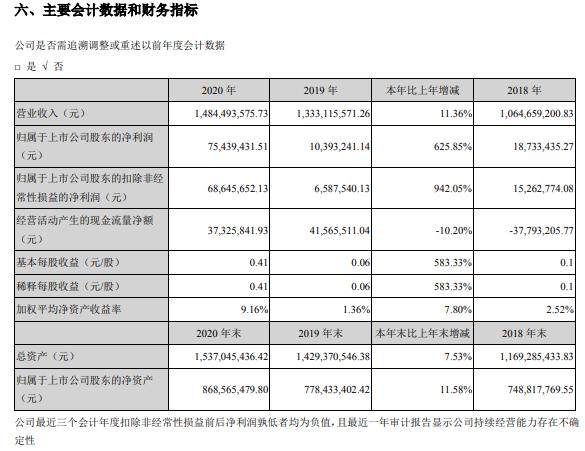 和胜股份2020年净利增长625.85%