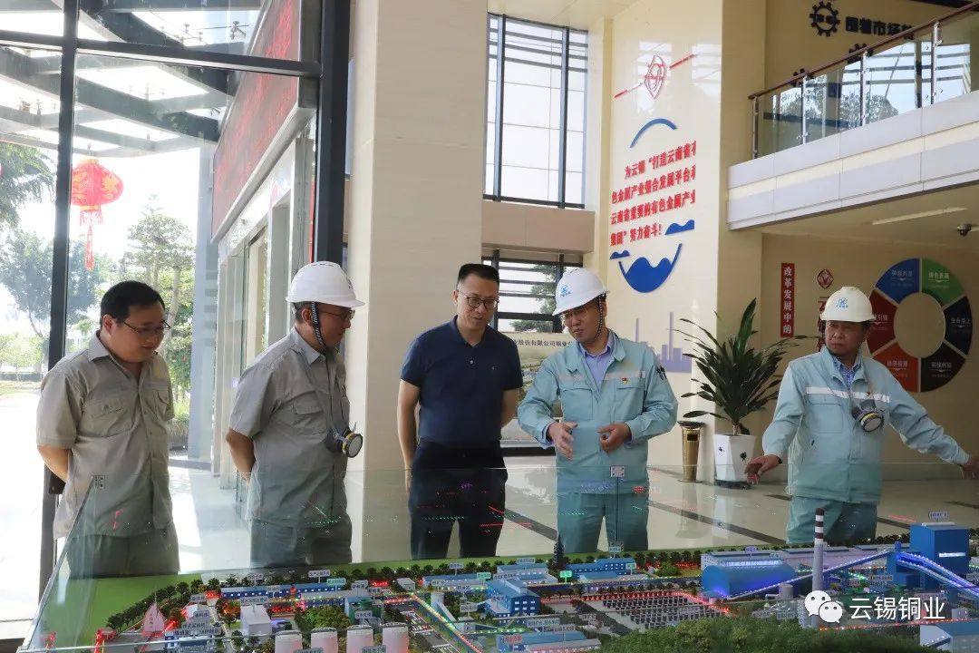 刘俊到云锡铜业检查指导工作
