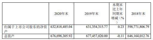 丰华股份2020年净利146万元减少95%：总经理余霄薪酬189.8万元