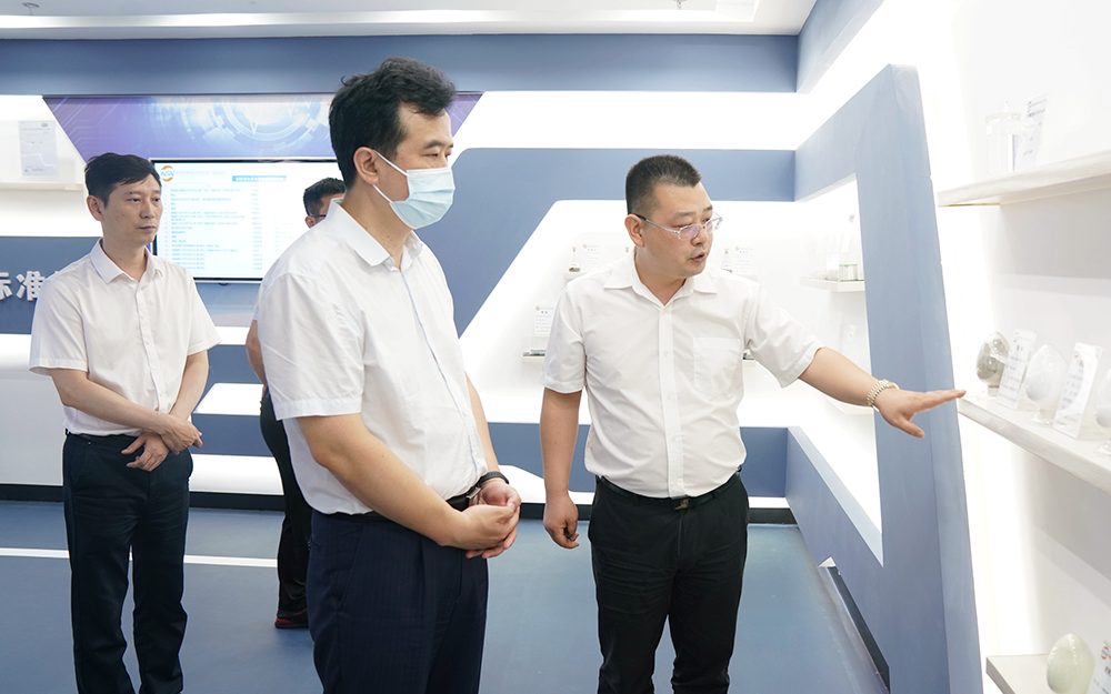 科技部成果轉化與區域創新司副司長張勇強一行到銦錫資源高效利用國家工程實驗室調研