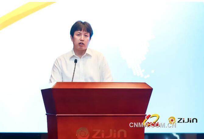 中国有色金属国际产能合作企业联盟年会在上杭召开