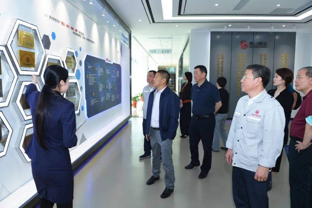 中国有色金属工业协会调研组到南山铝业调研指导