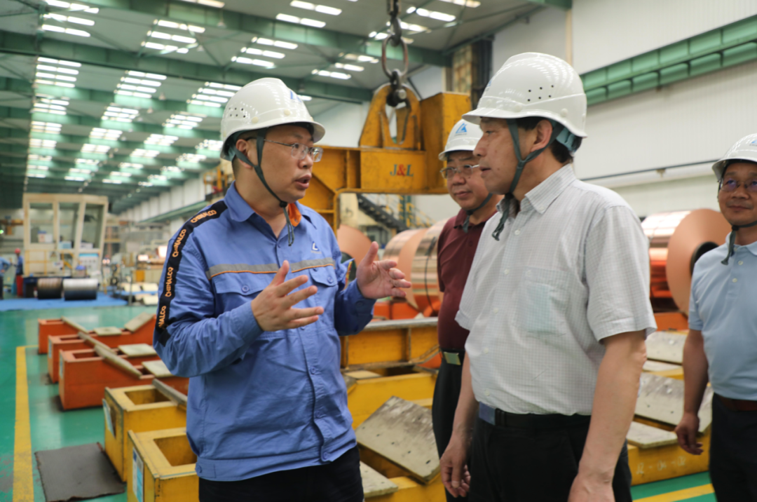 中國有色金屬工業協會副會長王健調研華中銅業