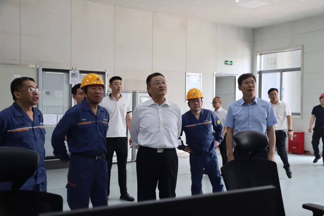 葛紅林調研寶武鋁業