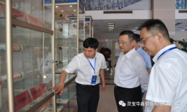 中国有色金属工业协会会长葛红林一行到灵宝华鑫铜箔公司调研