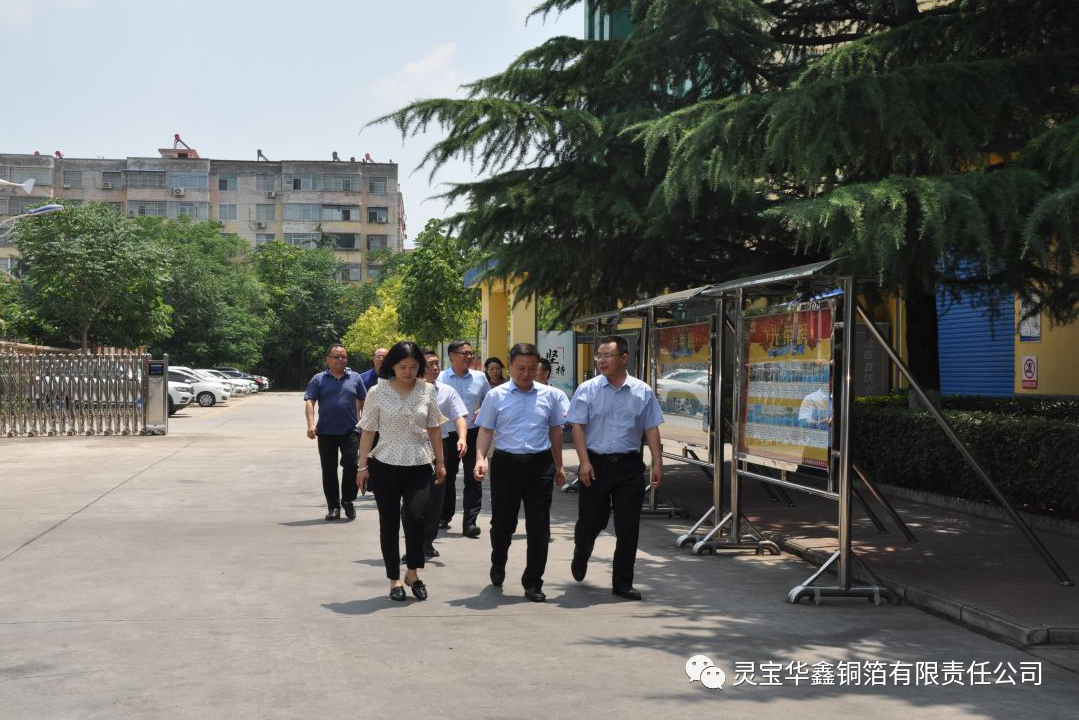 河南省科技廳副廳長陳志強一行到靈寶華鑫銅箔調研