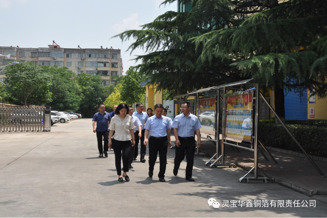 河南省科技厅副厅长陈志强一行到灵宝华鑫铜箔调研