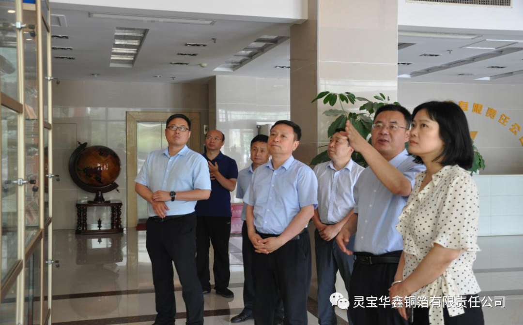 河南省科技廳副廳長陳志強一行到靈寶華鑫銅箔調研