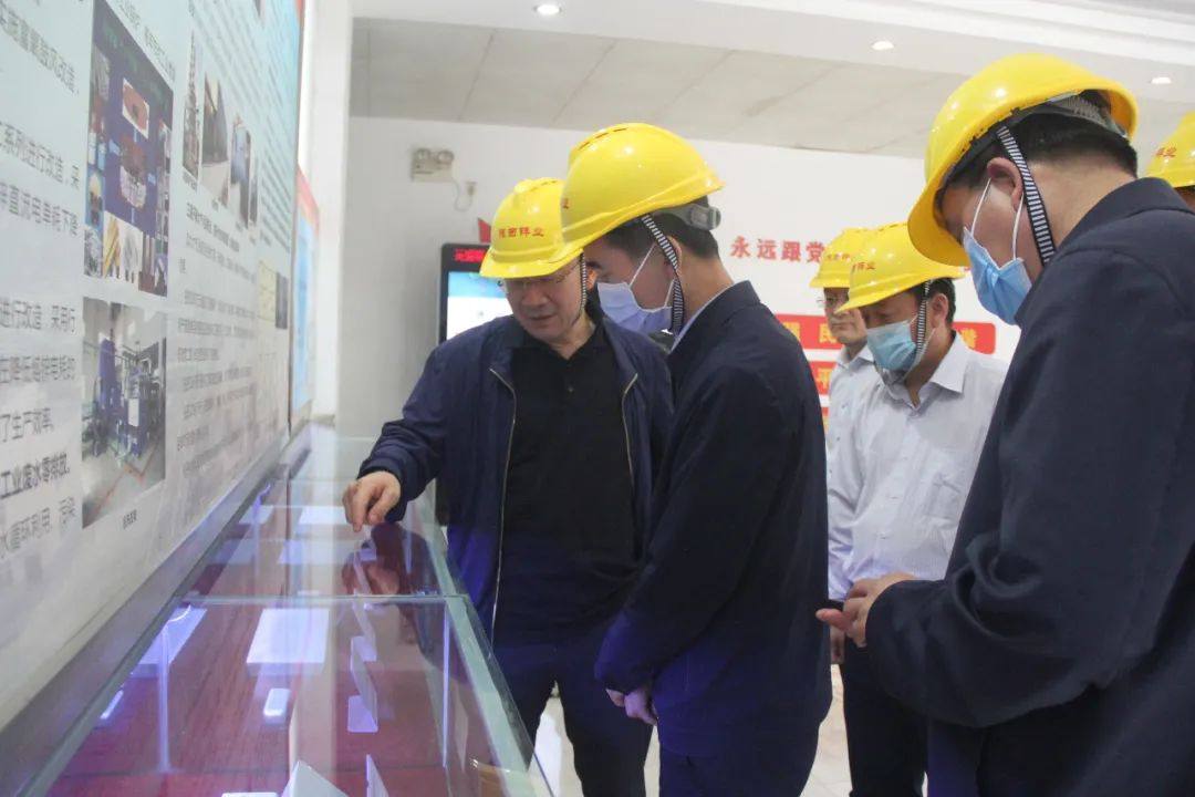 陕西省政府张军林副秘书长一行莅临陕西锌业公司调研督导工作