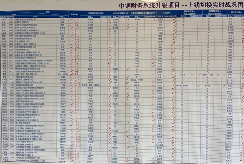 中国铜业完成财务信息系统升级