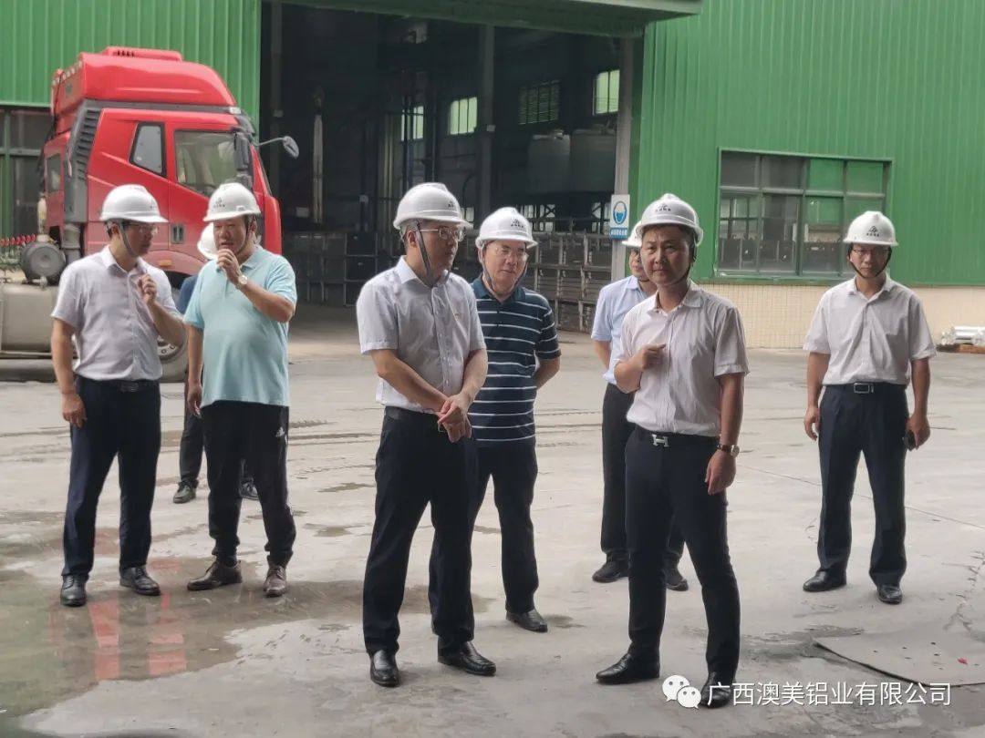 田阳区人民政府区长曾维康等领导一行到广西广盈铝业走访调研企业经济运行稳增长工作