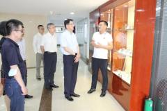 哈尔滨市政协调研组一行莅临东盛集团长江总部调研指导