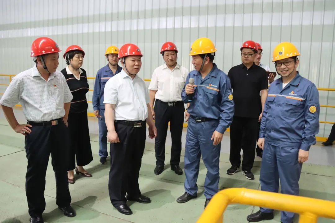 三门峡市委书记刘南昌到宝武铝业调研