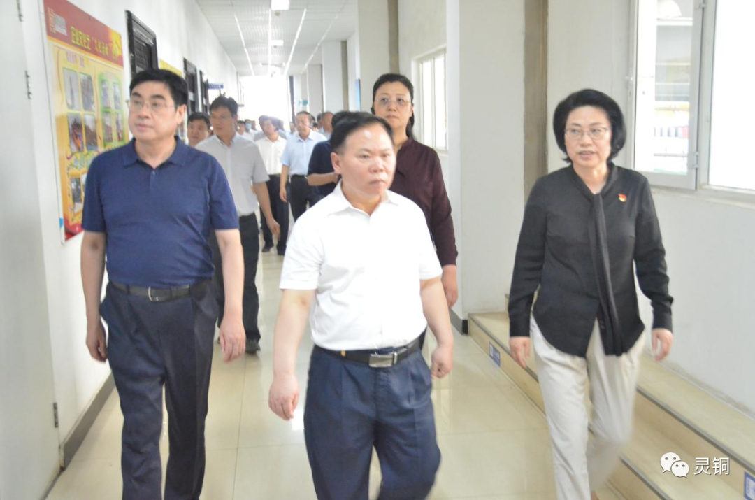 三门峡市重点项目、“三大改造”、乡村振兴项目观摩团到朝辉铜业观摩指导