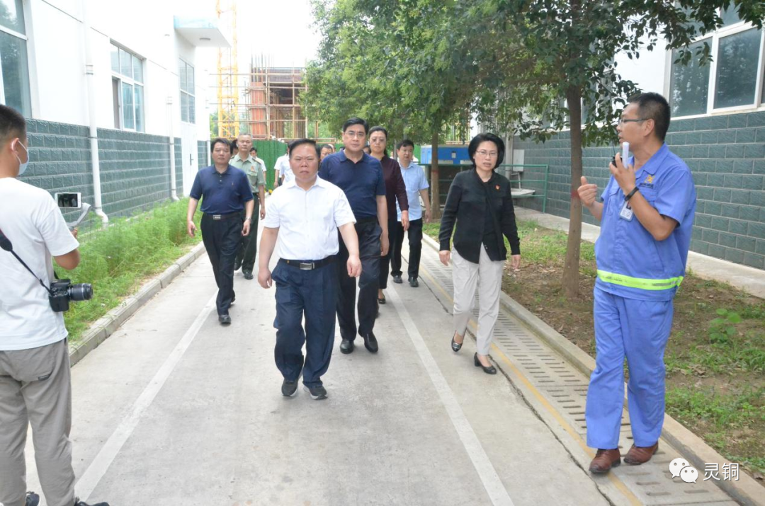 三门峡市重点项目、“三大改造”、乡村振兴项目观摩团到朝辉铜业观摩指导