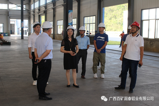 全区2020年度县域经济发展分类考核组到百矿润泰铝业进行实地核验